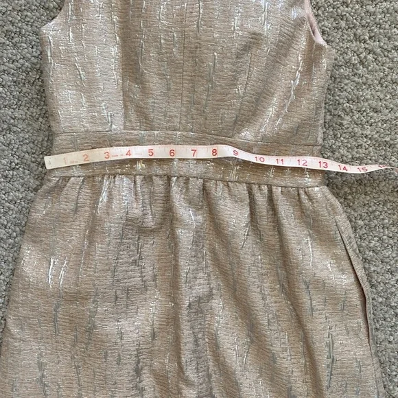 Vintage hunter Dixon brocade lined dress in silver & blush size 2 - Picture 8 of 14